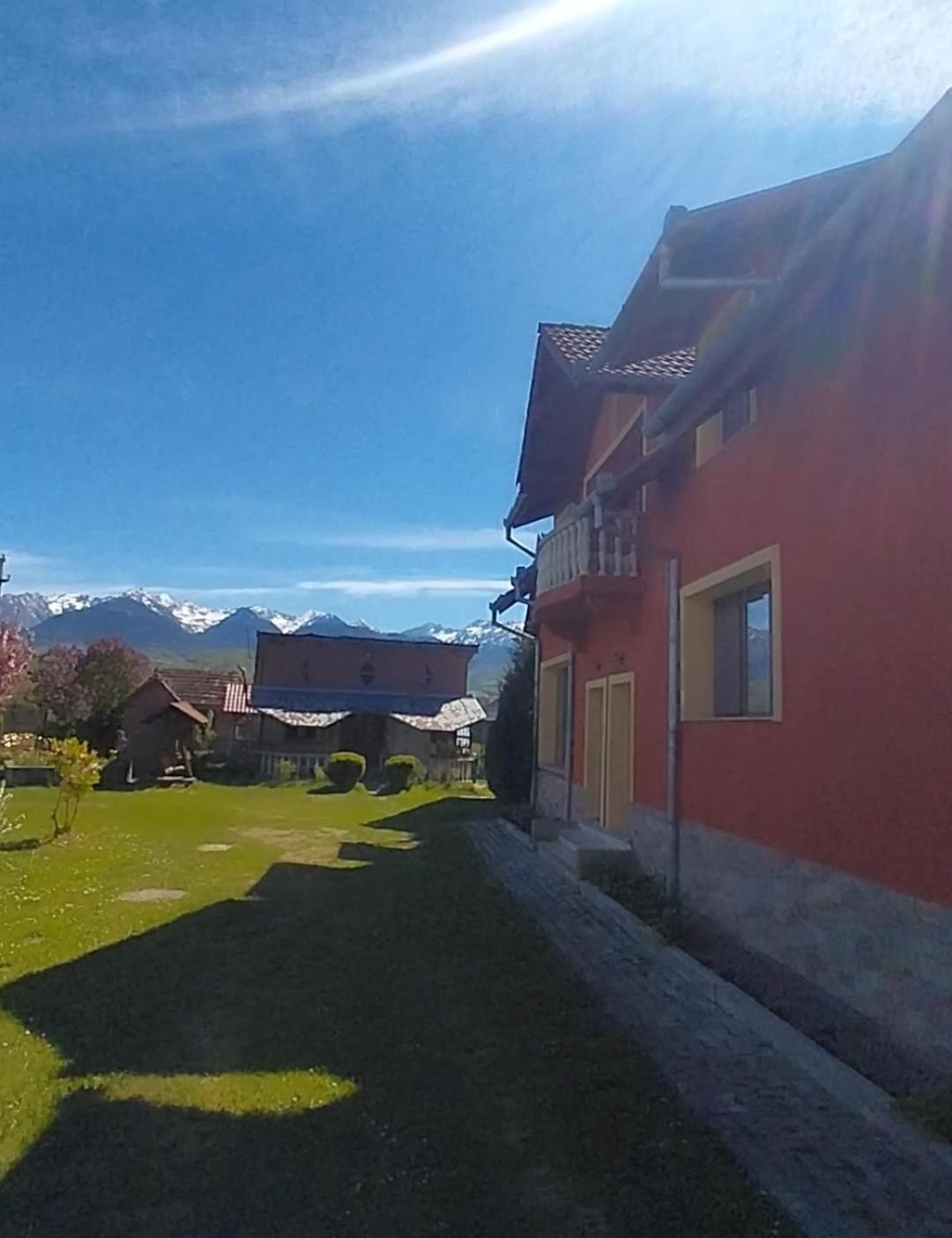 Serena House Cartisoara Exterior photo